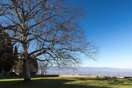 il Giardino, Maison à Pergine Valdarno avec Piscine - Photo 20