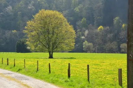 Le Simplement 2, Maison 12 personnes à Bovigny - Photo 36