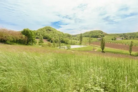 Maison Lamothe, Chalet au pays du vin - Photo 25