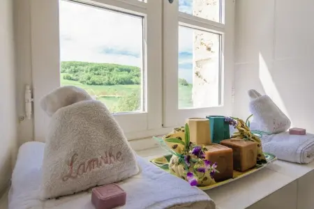 Maison Lamothe, Chalet au pays du vin - Photo 38