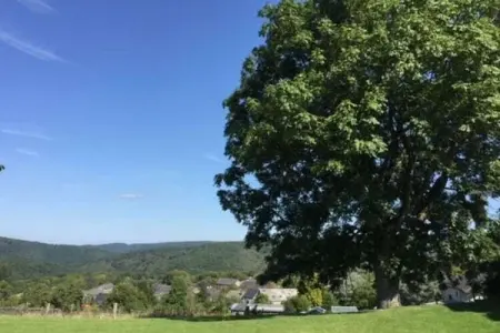 Villa Francine, Séjour nature & confort : villa de charme pour 14 pers. à Daverdisse - Photo 27