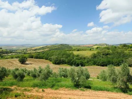 Casa Grande, Gite 12 personnes à Scansano - Photo 36