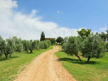 Casa Grande, Gite 12 personnes à Scansano - Photo 38