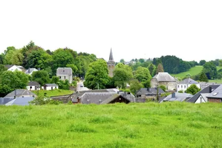 Le Moulin d'Halconreux, Ferme vintage avec jardin et terrasse couverte - Photo 35