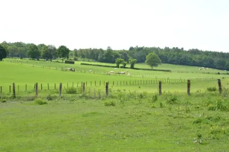 Coeur de Boeur, Ferme à Houffalize avec grande terrasse - Photo 22