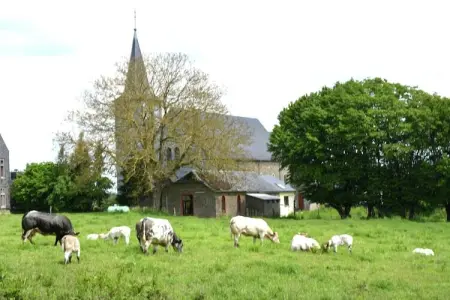 Coeur de Boeur, Ferme à Houffalize avec grande terrasse - Photo 23
