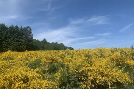 Coeur de Boeur, Ferme à Houffalize avec grande terrasse - Photo 69