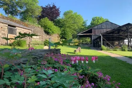 Coeur de Boeur, Ferme à Houffalize avec grande terrasse - Photo 80