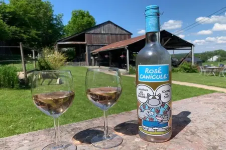 Coeur de Boeur, Ferme à Houffalize avec grande terrasse - Photo 81
