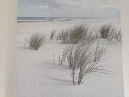 Maison Vendéenne 6 Pers, Animaux Bienvenus, Proche Plage & Commerces - Photo 17