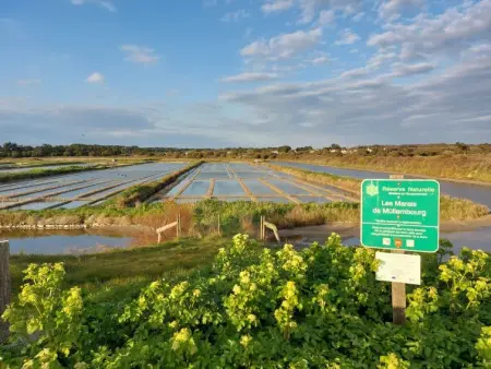 Confort et Relax Ile de Noirmoutier, Maison 8 personnes à Ile de Noirmoutier - Photo 49