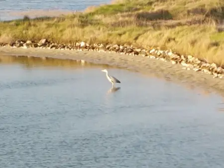 Confort et Relax Ile de Noirmoutier, Maison 8 personnes à Ile de Noirmoutier - Photo 50