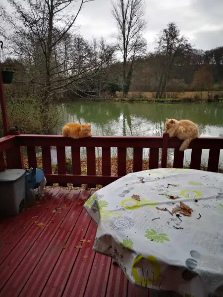 Chalet accueillant avec vue sur le lac, Chalet 4 personnes à Estang - Photo 15