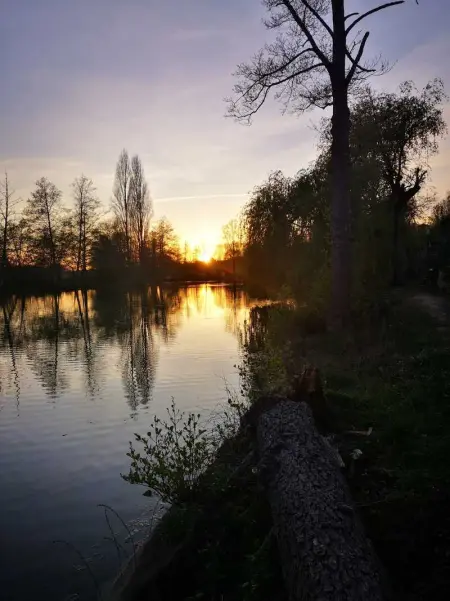 Chalet accueillant avec vue sur le lac, Chalet 4 personnes à Estang - Photo 23