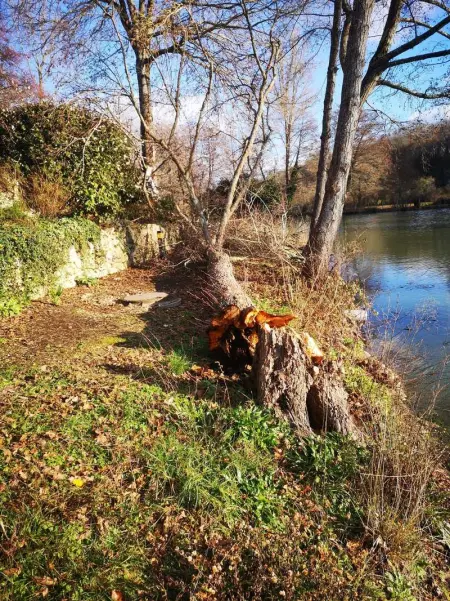 Chalet accueillant avec vue sur le lac, Chalet 4 personnes à Estang - Photo 24