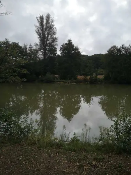 Chalet accueillant avec vue sur le lac, Chalet 4 personnes à Estang - Photo 25
