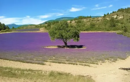 Maison vue panoramique, Maison 12 personnes à Plaisians - Photo 26