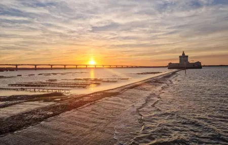 Location Maison 8 personnes à Port des Barques - Photo 8
