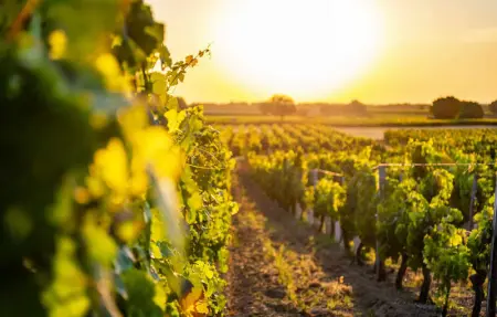 Location Maison 15 personnes à BLOIS - Photo 7