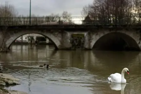 Studio douillet à Eymet, 20 m² avec piscine, Appartement 2 personnes à Eymet - Photo 12