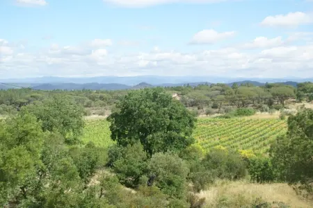 Vidauban 8, Villa à Var avec piscine près Maures - Photo 6