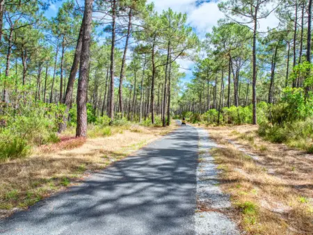 Domaine de Pitrot, Maison 6 personnes à Lacanau   Lac - Photo 35