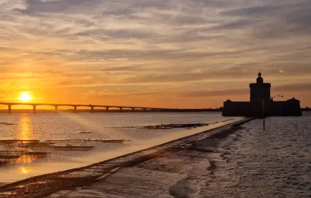 Charmante Maison, Maison 2 personnes à Saujon - Photo 17