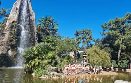 Charmante Maison, Maison 2 personnes à Saujon - Photo 20