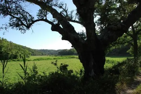 Gite 0 personnes à  - Photo 26