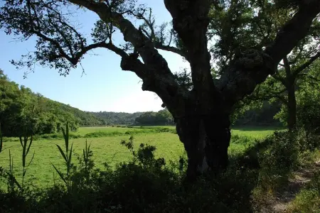 Gite 0 personnes à  - Photo 22