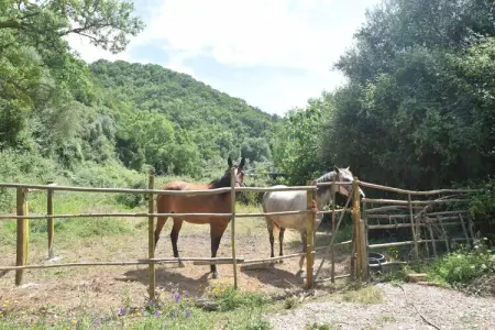 Gite 0 personnes à  - Photo 24