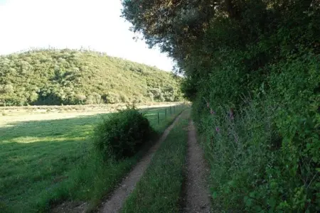 Gite 0 personnes à  - Photo 27