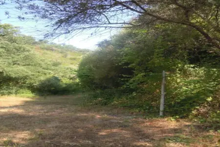 Gite 0 personnes à  - Photo 30