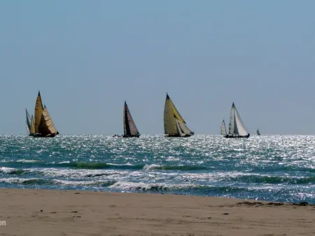 Villa Gabriele, Maison 8 personnes à Forte dei Marmi - Photo 28
