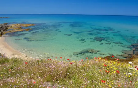 Location Maison 4 personnes à Sedini - Photo 8