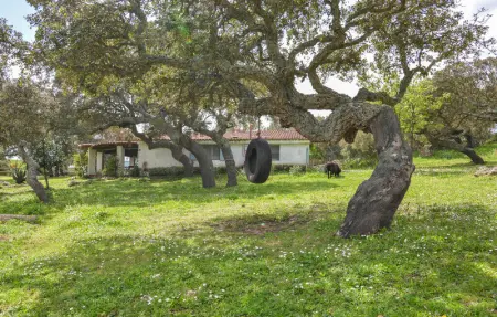 Location Maison 4 personnes à Sedini - Photo 16