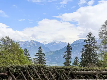 Chalet Schöpfli, Appartement 4 personnes à Beatenberg - Photo 20