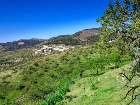 Paraje Starlight Murtas - Alpujarra, Maison 4 personnes à Granada Murtas - Photo 39