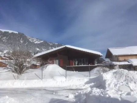 Bodehus, Appartement 7 personnes à Adelboden - Photo 4