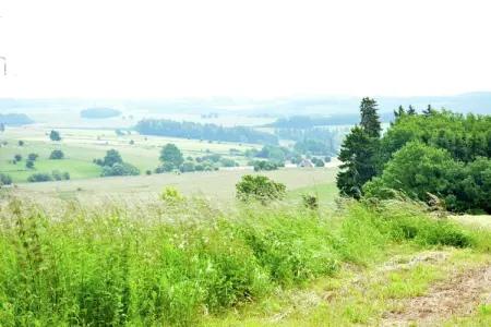 Sapin-Paul, Ferme confortable près de Houffalize - Photo 18