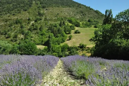 Les Collines, Villa à Malaucène près du Mont Ventoux - Photo 36
