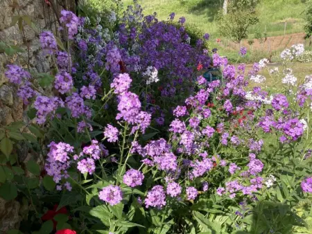 Maison des Yourtes, Maison 2 personnes à Loubejac - Photo 23