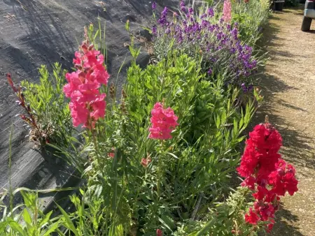 Maison des Yourtes, Maison 2 personnes à Loubejac - Photo 24
