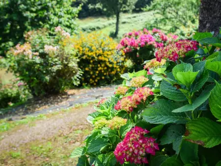 Maison des Yourtes, Maison 2 personnes à Loubejac - Photo 29