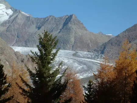 Amici 1. OG West, Appartement 4 personnes à Riederalp - Photo 13