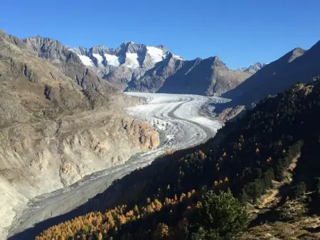 Amici 1. OG West, Appartement 4 personnes à Riederalp - Photo 15