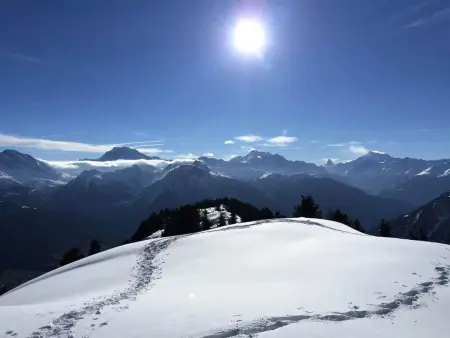 Amici 1. OG West, Appartement 4 personnes à Riederalp - Photo 24