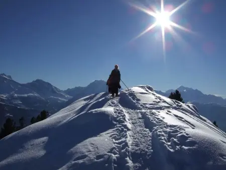Amici 1. OG West, Appartement 4 personnes à Riederalp - Photo 27