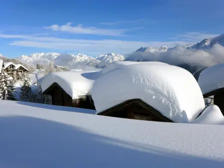 Amici 1. OG West, Appartement 4 personnes à Riederalp - Photo 30