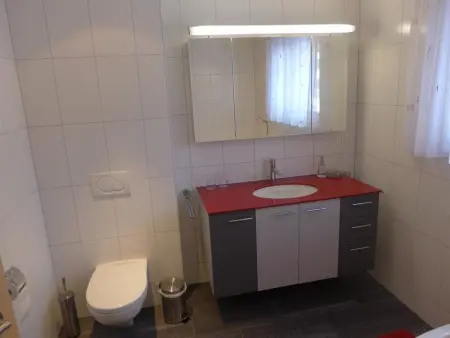 Amici 1. OG West, Appartement 4 personnes à Riederalp - Photo 66